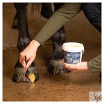 HARRYS HORSE Pataápoló balzsam Yellow, 500ml