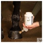 HARRYS HORSE Természetes pataolaj ecsettel – 450 ml