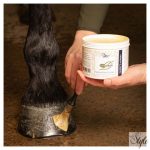 HARRYS HORSE Természetes pataápoló krém – 500 ml