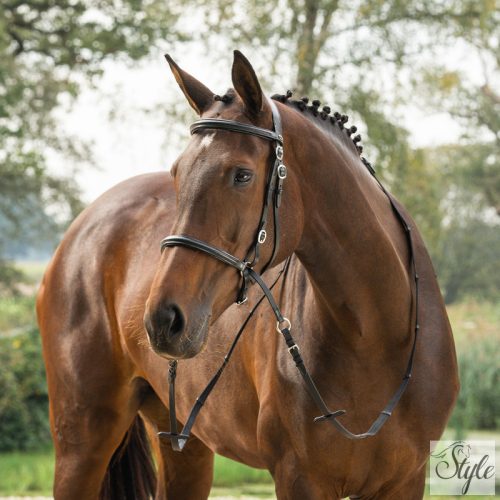 ZABLA NÉLKÜLI KANTÁR