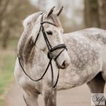 Horka Gatsby kantár bőr szárral