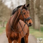 Horka Filius kantár bőr szárral