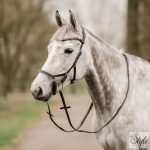 Horka Nox anatómiai kantár bőr szárral