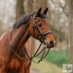 Horka Las Vegas nagykantár