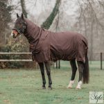 HORKA FRIDA lótakaró