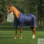 Horka csíkos légytakaró