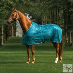 Horka csíkos légytakaró