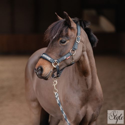 HORKA KYO kötőfék szett