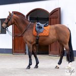 HV Polo díjlovas nyeregalátét HVPDana