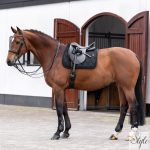 HV Polo díjlovas nyeregalátét HVPDana