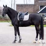 HV Polo díjlovas nyeregalátét HVPDewi