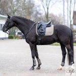 HV Polo díjlovas nyeregalátét HVPDewi