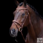 HV Polo angol orrfékes kantár HVPLegacy Brown