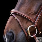 HV Polo angol orrfékes kantár HVPLegacy Brown