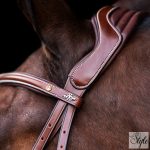 HV Polo angol orrfékes kantár HVPLegacy Brown