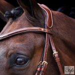 HV Polo angol orrfékes kantár HVPLegacy Brown