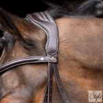 HV Polo angol orrfékes kantár HVPLegacy Chocolate Brown