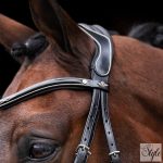 HV Polo angol orrfékes kantár HVPLegacy Black