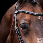 HV Polo angol orrfékes kantár HVPLegacy Black