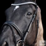 HV Polo kantár HVPLegacy Deluxe Black