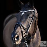 HV Polo kantár HVPLegacy Deluxe Black