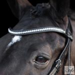 HV Polo kantár HVPLegacy Deluxe Black