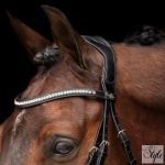 HV Polo kantár HVPLegacy Deluxe Black-White