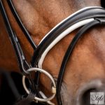 HV Polo kantár HVPLegacy Deluxe Black-White