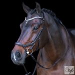 HV Polo anatómiai kantár HVPLegacy Deluxe Chocolate Brown