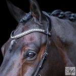 HV Polo anatómiai kantár HVPLegacy Deluxe Chocolate Brown