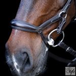 HV Polo anatómiai kantár HVPLegacy Deluxe Chocolate Brown