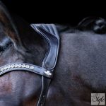 HV Polo anatómiai kantár HVPLegacy Deluxe Chocolate Brown