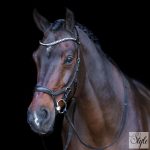 HV Polo anatómiai kantár HVPLegacy Deluxe Black