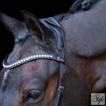 HV Polo anatómiai kantár HVPLegacy Deluxe Black