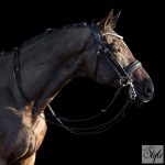 HV Polo nagykantár HVPLegacy Deluxe Black