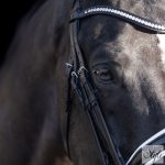 HV Polo nagykantár HVPLegacy Deluxe Black-White