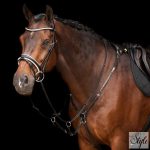 HV Polo szügyelős martingál HVPLegacy Black