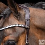 HV Polo anatómiai zabla nélküli kantár HVPLegacy