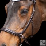 HV Polo anatómiai zabla nélküli kantár HVPLegacy