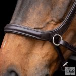 HV Polo anatómiai zabla nélküli kantár HVPLegacy