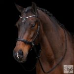 HV Polo anatómiai zabla nélküli kantár HVPLegacy