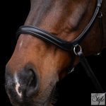 HV Polo anatómiai zabla nélküli kantár HVPLegacy