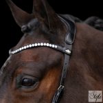 HV Polo anatómiai zabla nélküli kantár HVPLegacy