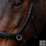 HV Polo anatómiai zabla nélküli kantár HVPLegacy