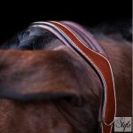 HV Polo bőr kötőfék HVPLegacy Brown