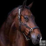 HV Polo bőr kötőfék HVPLegacy Black