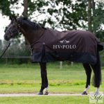 HV Polo Essential karámtakaró 100 g, 600D