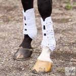 HV Polo díjlovas lábvédő HVPPro Movement