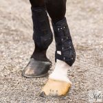 HV Polo díjlovas lábvédő HVPPro Movement