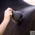 Imperial Riding pucoló és masszírozó kefe IRHVolta